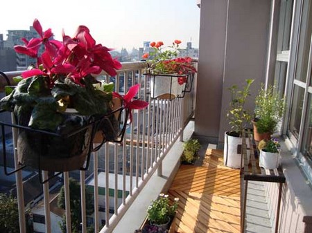 Plants-for-Balcony-Garden